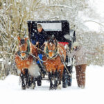 Winter Horse-drawn Carriage Tour in Garmisch-Partenkirchen